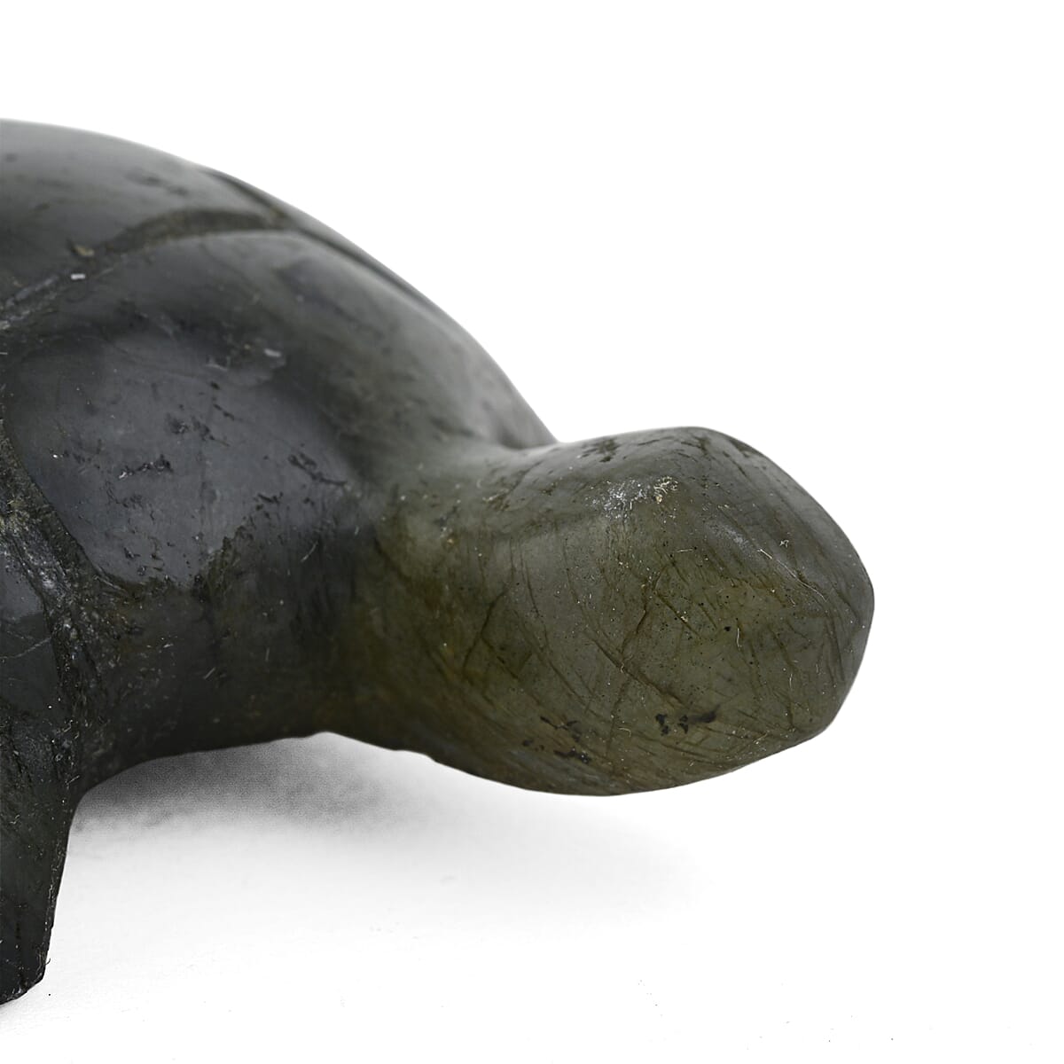 Labradorite Turtle Shape -Medium 576ctw image number 6