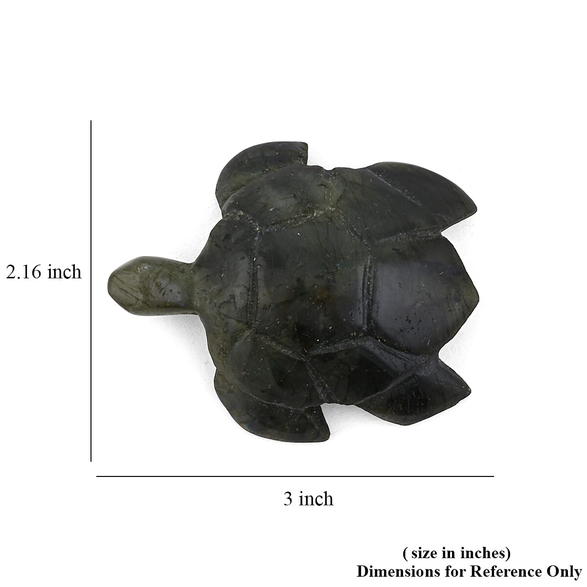 Labradorite Turtle Shape -Medium 576ctw image number 7