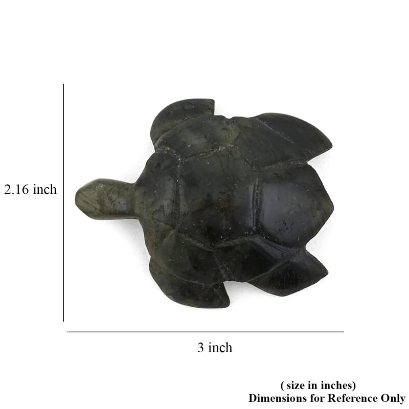 Labradorite Turtle Shape -Medium 576ctw