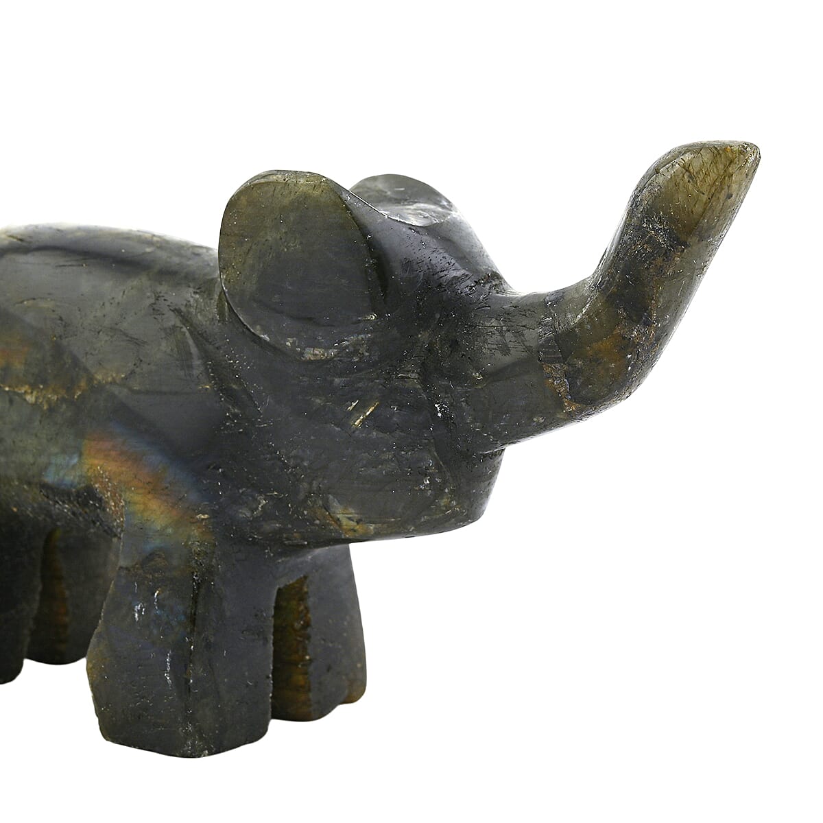 Labradorite Elephant Shape -Small 677ctw image number 6