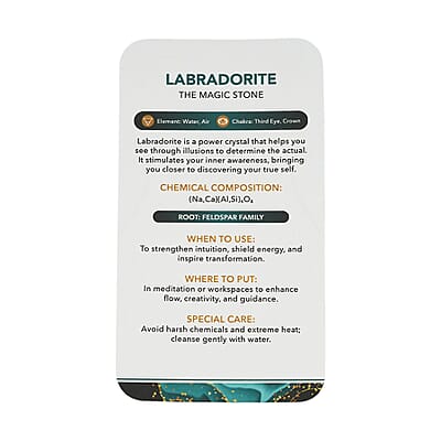 Labradorite Freeform - M 1318ctw