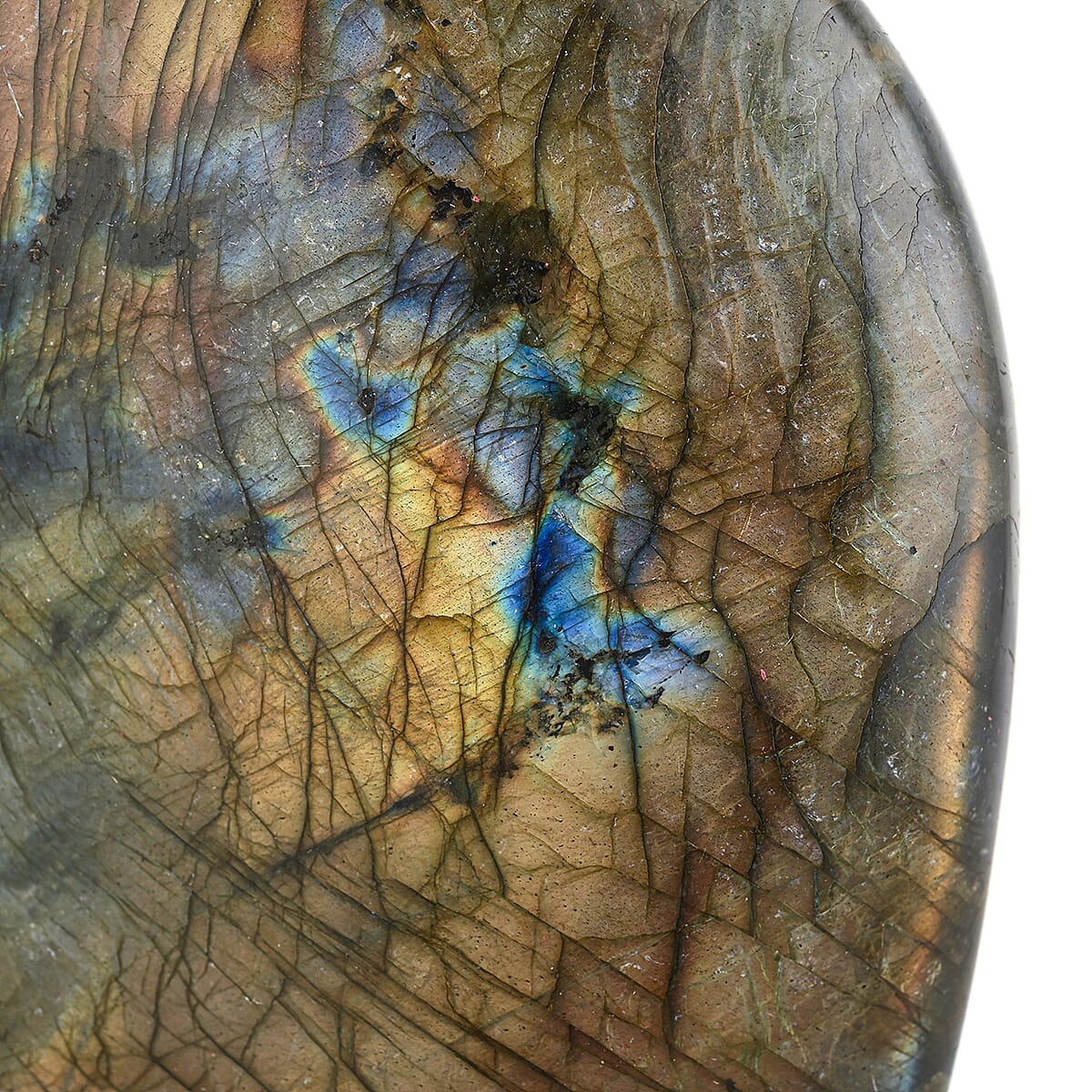 Labradorite Freeform -Large 8618ctw image number 4