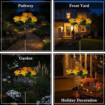 Yellow Daisy Flower - Product card gallery slide 3 (10178375680313)