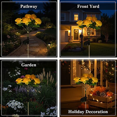 Yellow Daisy Flower - Product card gallery slide 3 (10178375680313)