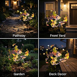 Livmore Multi Color Flower Solar Lights with 7 Heads