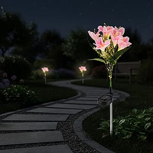 Livmore Pink Lily Flower Solar Lights with 7 Heads