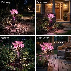 Livmore Pink Lily Flower Solar Lights with 7 Heads