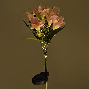Livmore Pink Lily Flower Solar Lights with 7 Heads