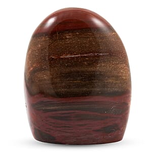 Petrified Wood Freeform -Small 1345ctw