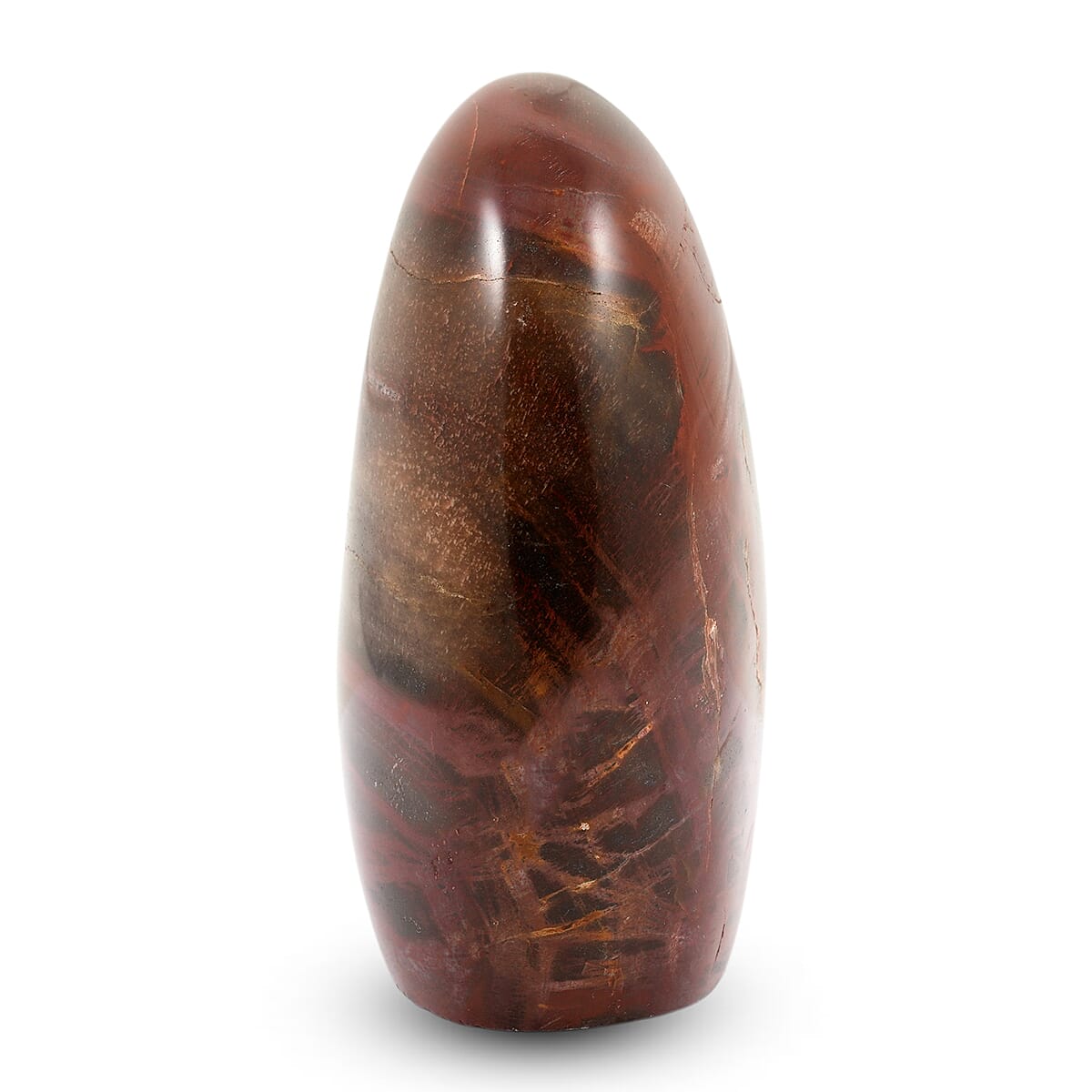 Petrified Wood Freeform -Small 1345ctw