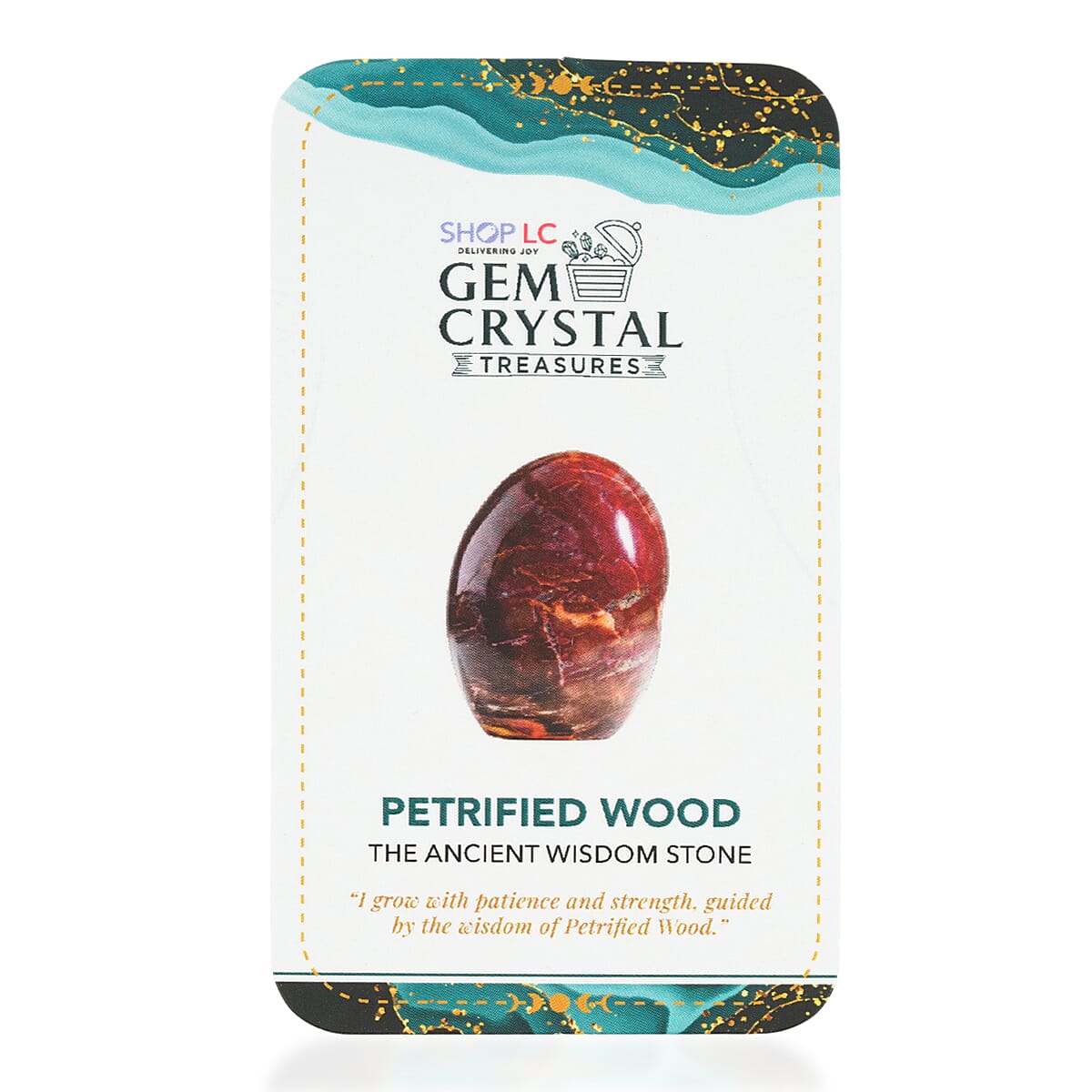 Petrified Wood Freeform -Small 1345ctw image number 5