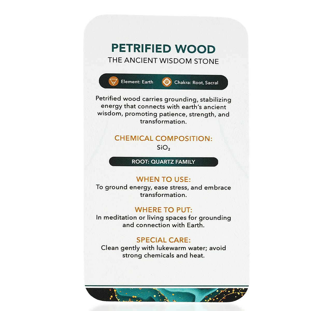 Petrified Wood Freeform -Small 1345ctw