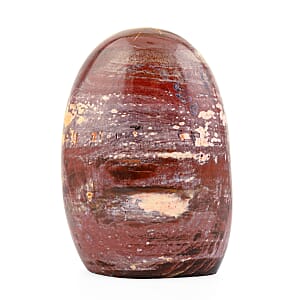 Petrified Wood Freeform -Medium 1747ctw