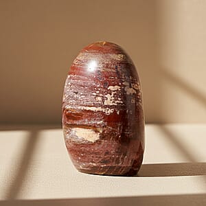 Petrified Wood Freeform -Medium 1747ctw