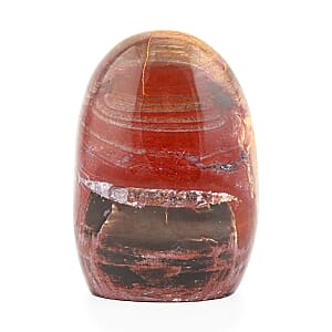 Petrified Wood Freeform -Medium 1747ctw