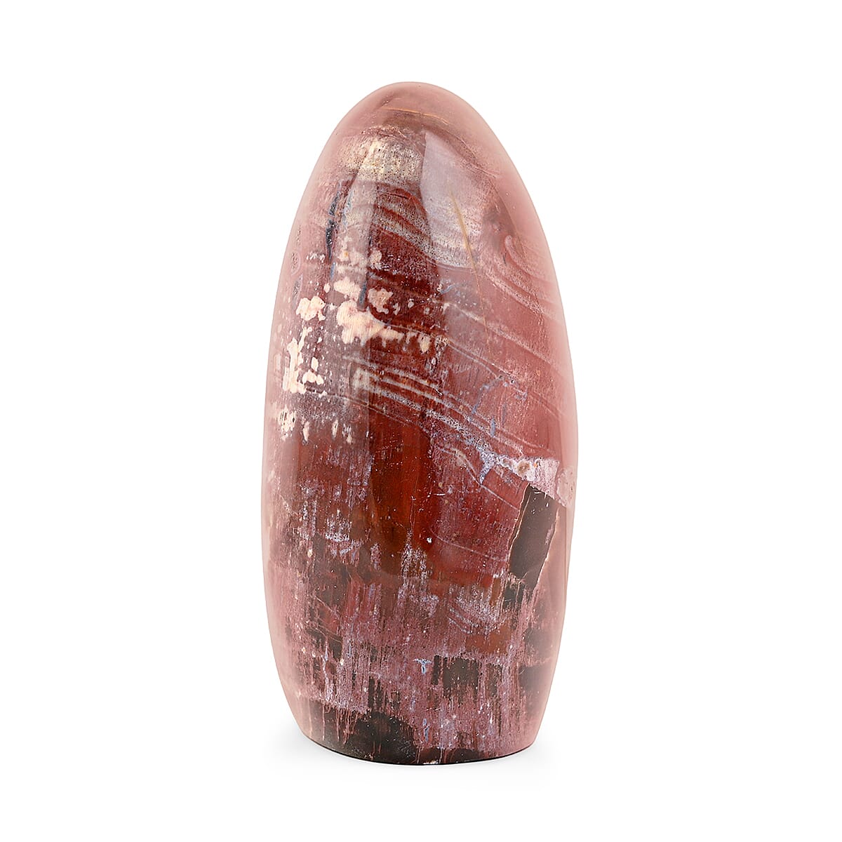 Petrified Wood Freeform -Medium 1747ctw image number 3