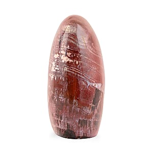 Petrified Wood Freeform -Medium 1747ctw