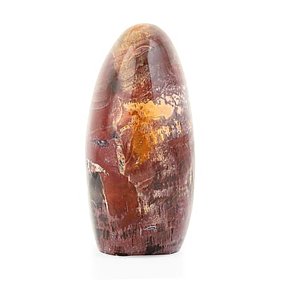 Petrified Wood Freeform -Medium 1747ctw