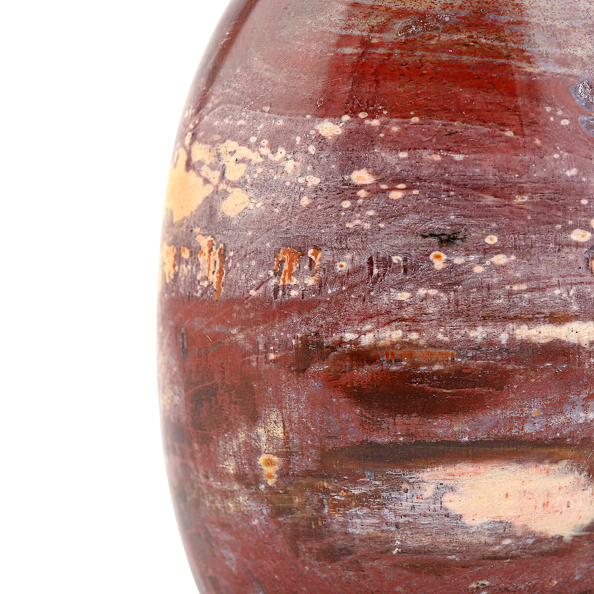 Petrified Wood Freeform -Medium 1747ctw image number 5