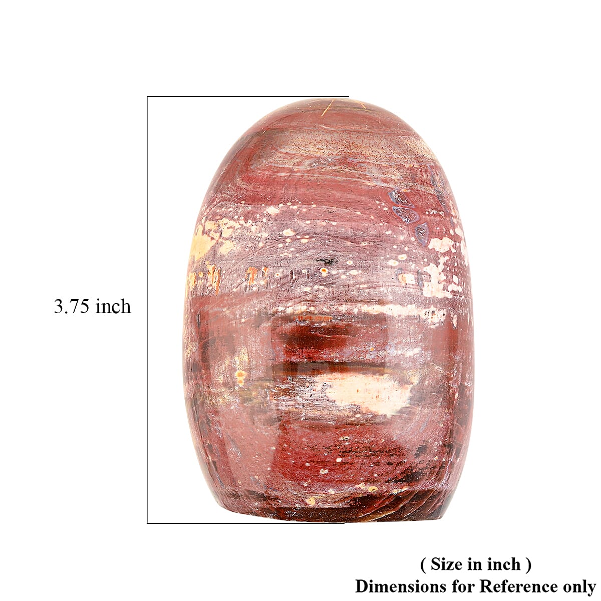 Petrified Wood Freeform -Medium 1747ctw image number 6