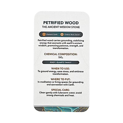 Petrified Wood Freeform -Medium 1747ctw