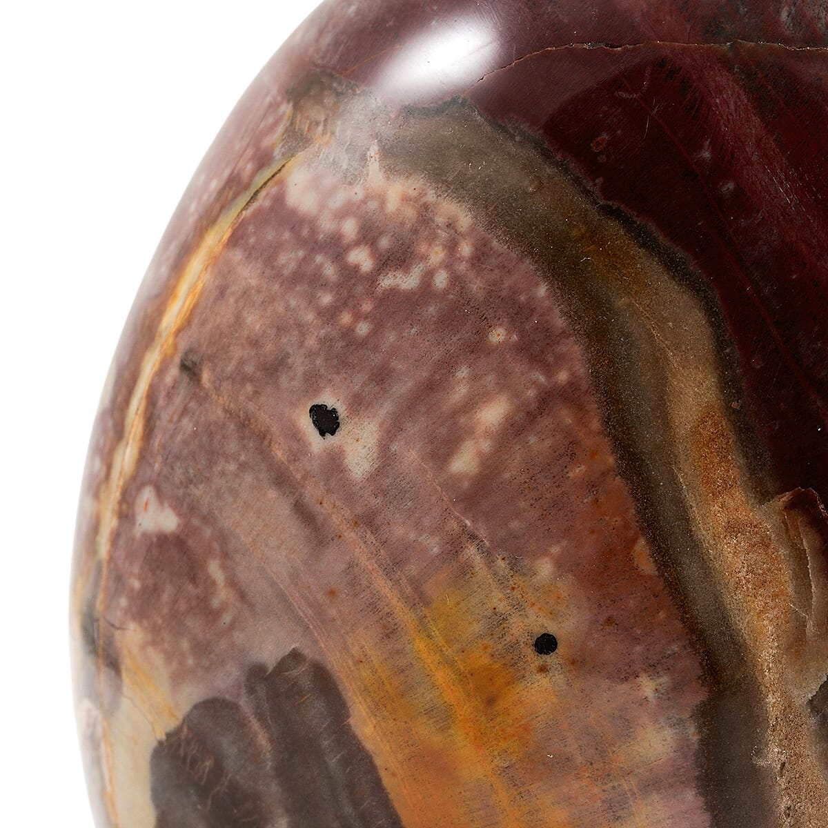 Petrified Wood Freeform -Large 4989ctw image number 3