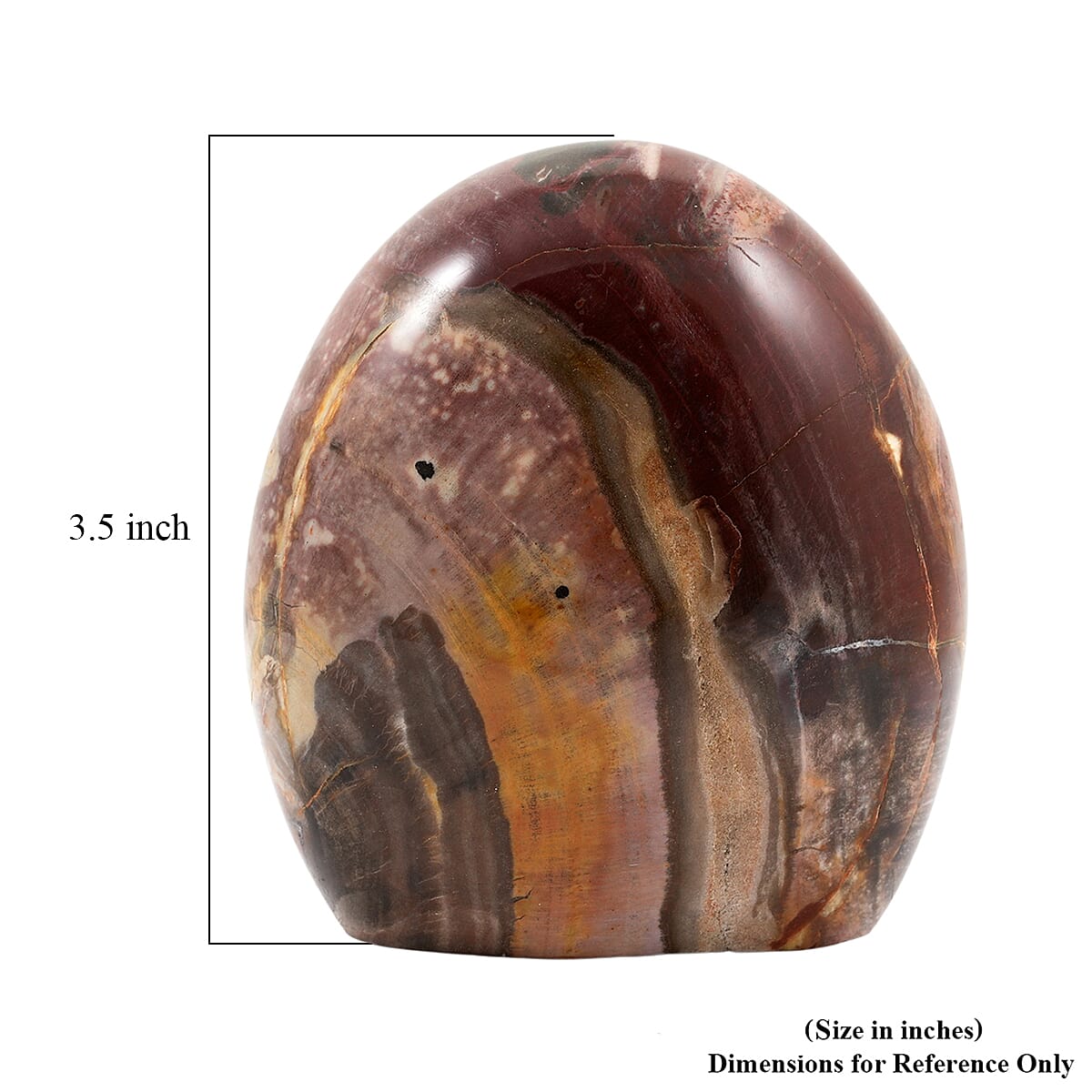 Petrified Wood Freeform -Large 4989ctw image number 4
