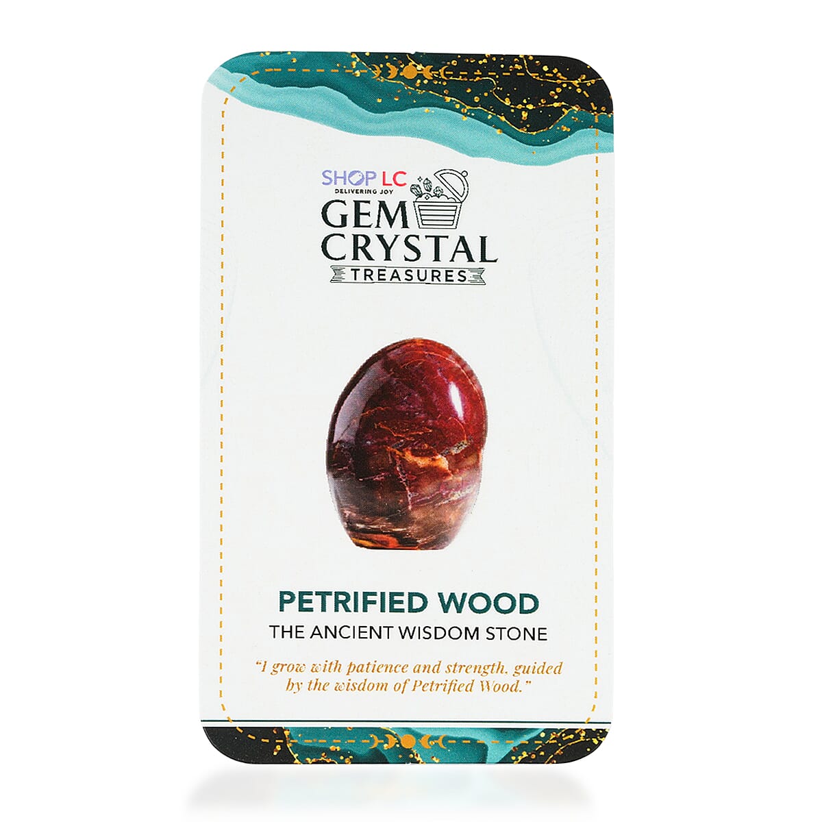 Petrified Wood Freeform -Large 4989ctw image number 5