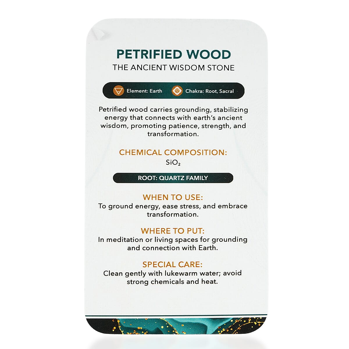 Petrified Wood Freeform -Large 4989ctw