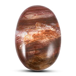 Petrified Wood Gallet -Small 532ctw