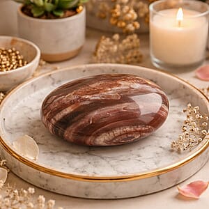 Petrified Wood Gallet -Small 532ctw