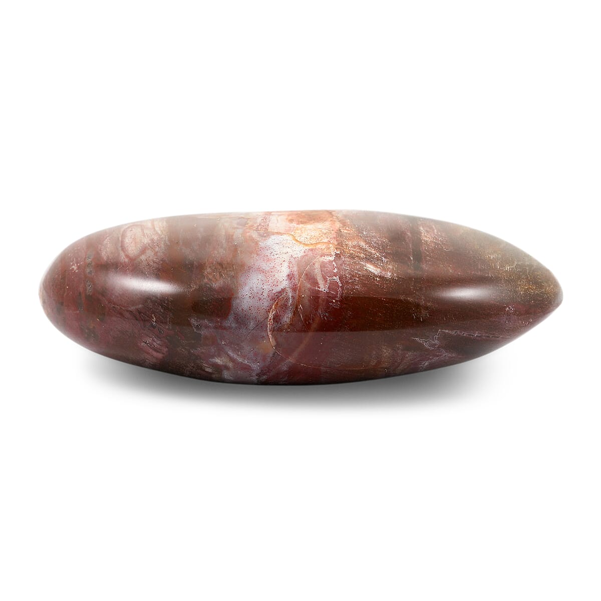 Petrified Wood Gallet -Small 532ctw image number 2