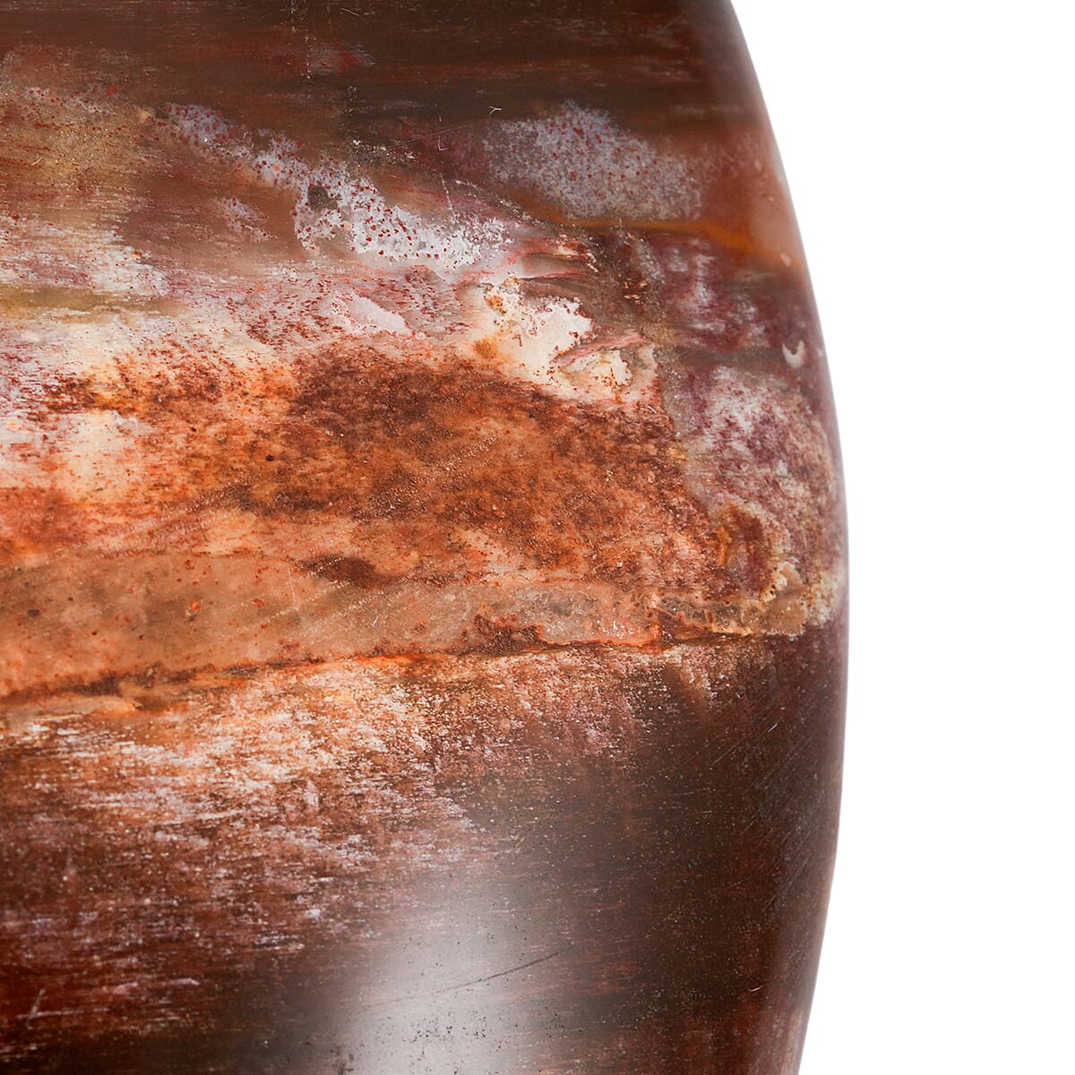 Petrified Wood Gallet -Small 532ctw image number 3