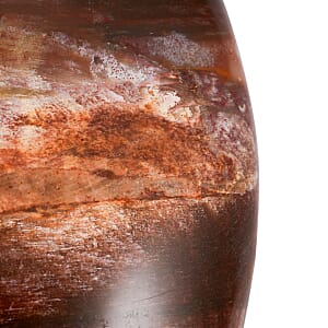 Petrified Wood Gallet -Small 532ctw