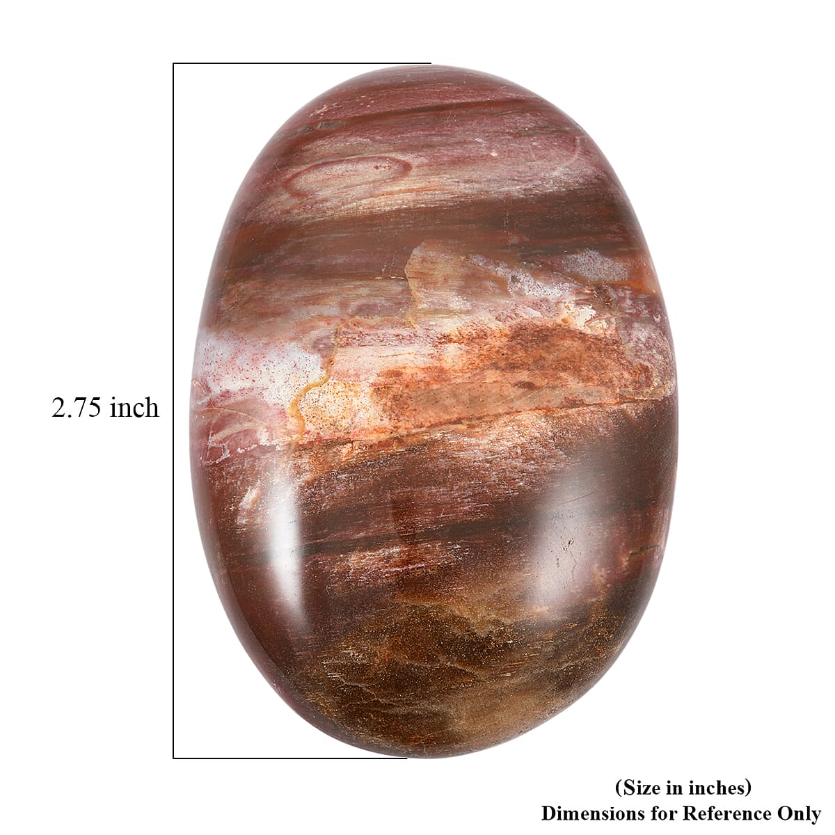 Petrified Wood Gallet -Small 532ctw image number 4