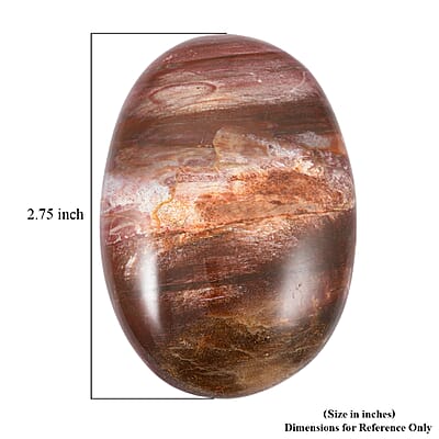Petrified Wood Gallet -Small 532ctw