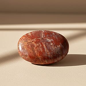 Petrified Wood Gallet -Medium 730ctw