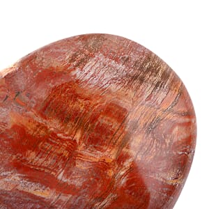 Petrified Wood Gallet -Medium 730ctw