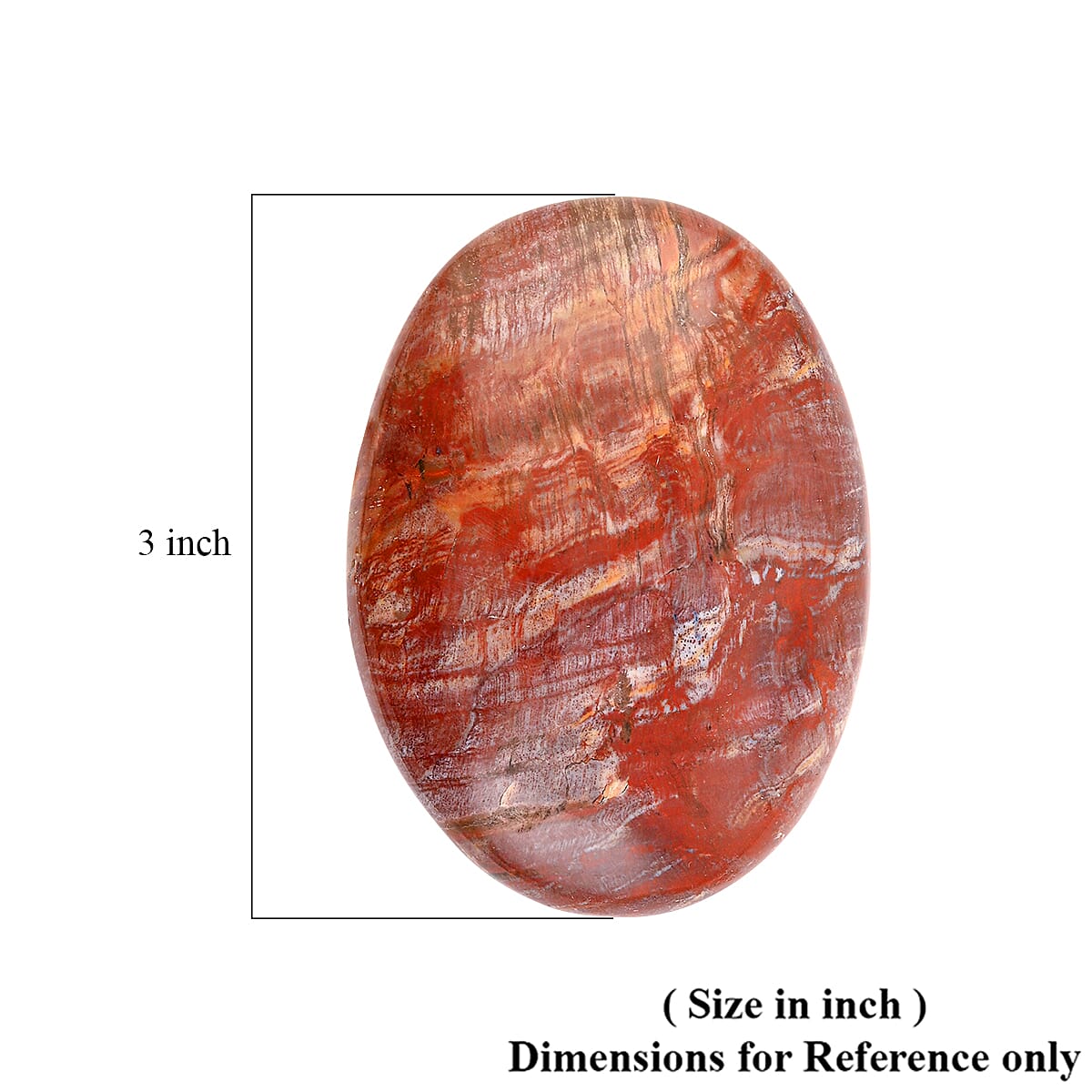 Petrified Wood Gallet -Medium 730ctw image number 4