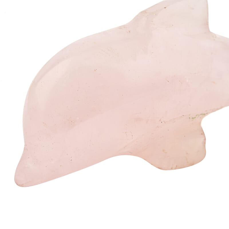 Rose Quartz Dolphine Shape -Small 409ctw