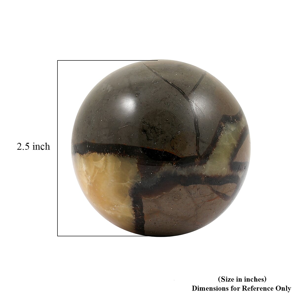 Septaria Sphere (Ball) -Small 1349ctw image number 3