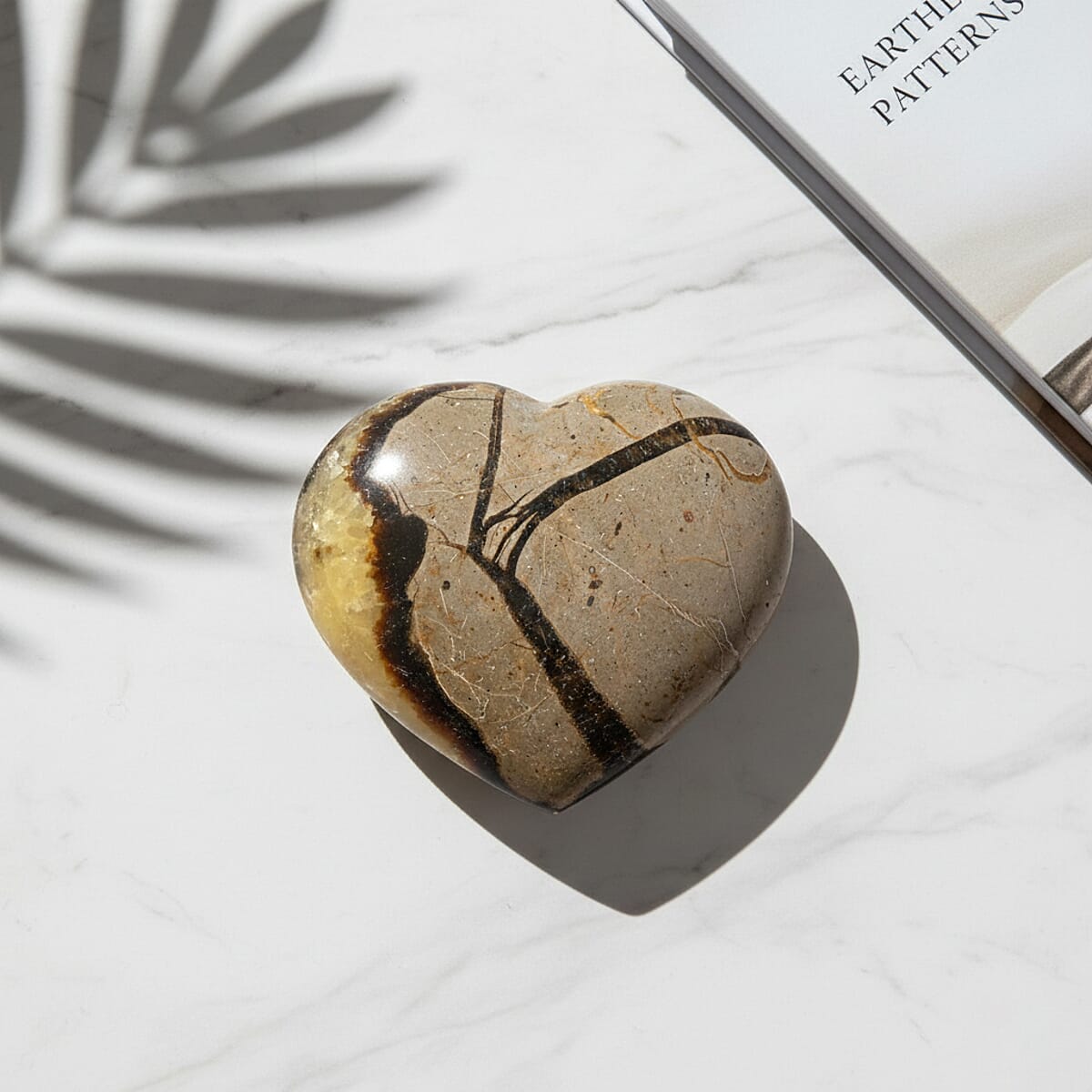 Septaria Heart Shape -Small 562ctw image number 1