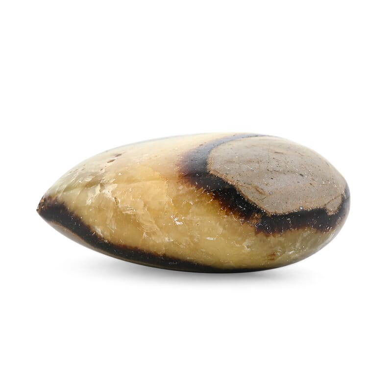 Septaria Heart Shape -Small 562ctw