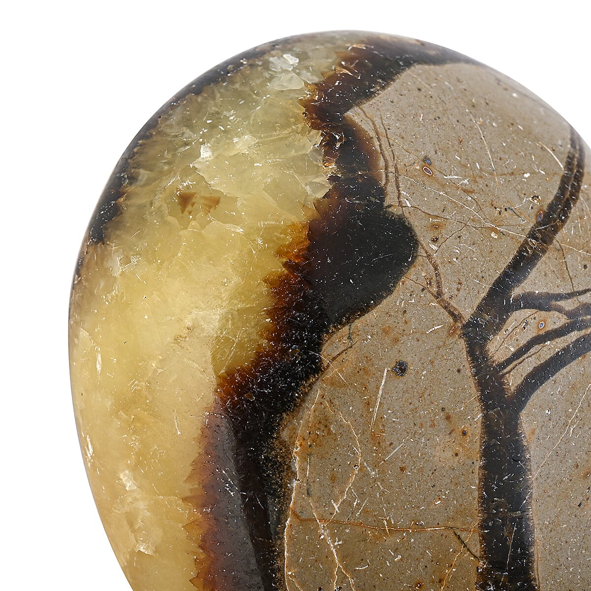 Septaria Heart Shape -Small 562ctw image number 4