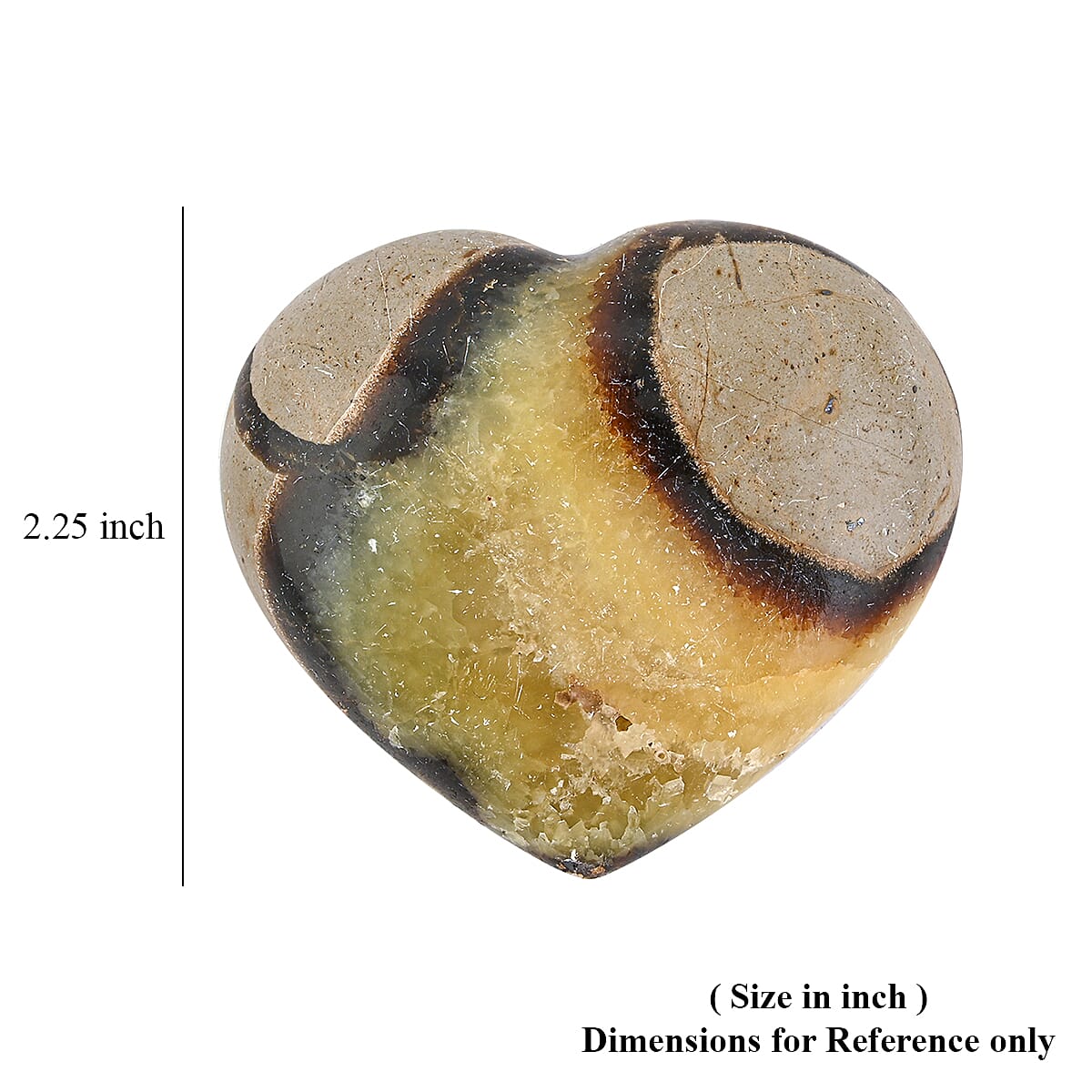 Septaria Heart Shape -Small 562ctw image number 5