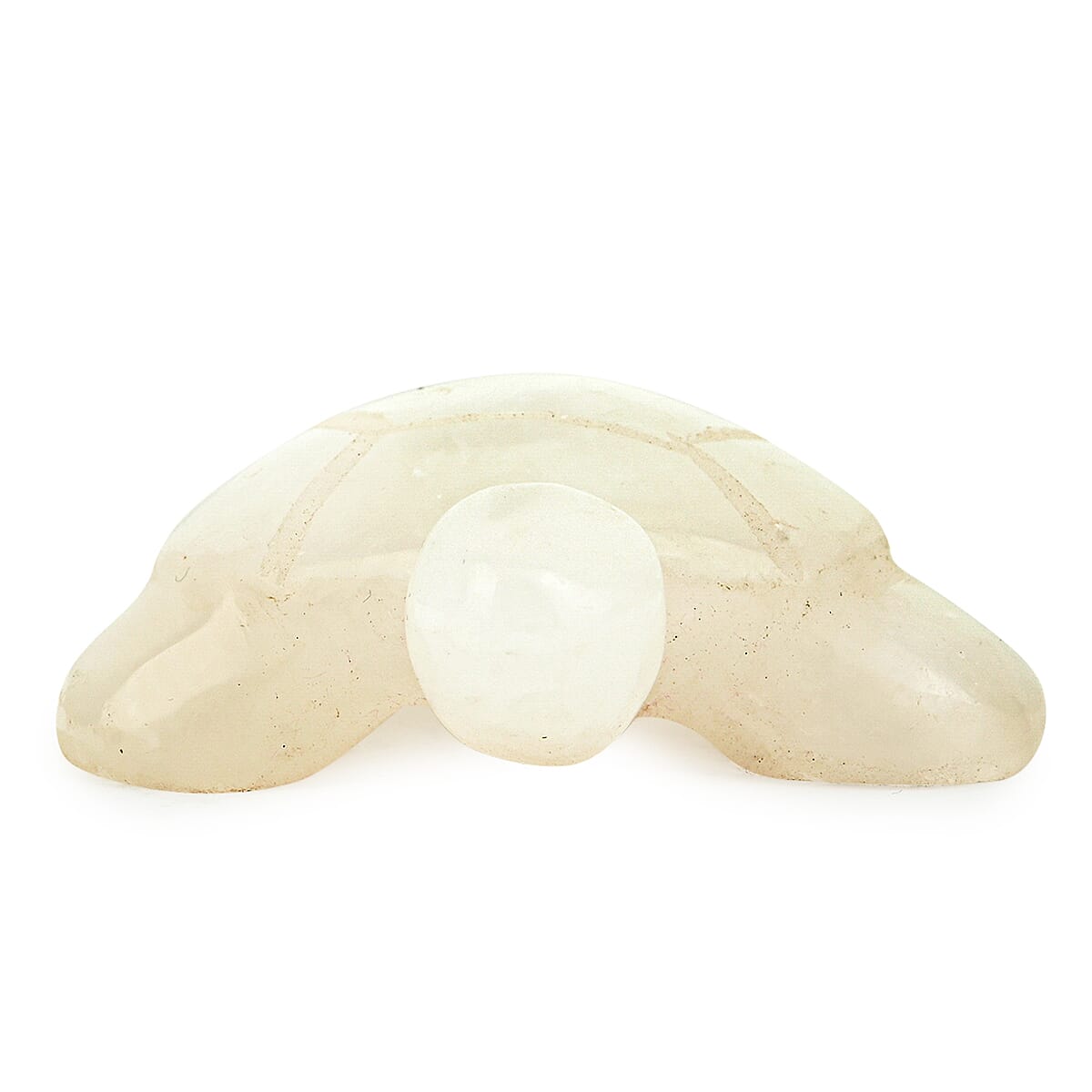 White Quartz Tortoise Shape -Small 486ctw