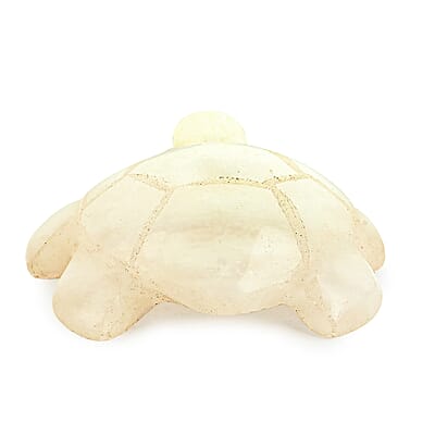 White Quartz Tortoise Shape -Small 486ctw