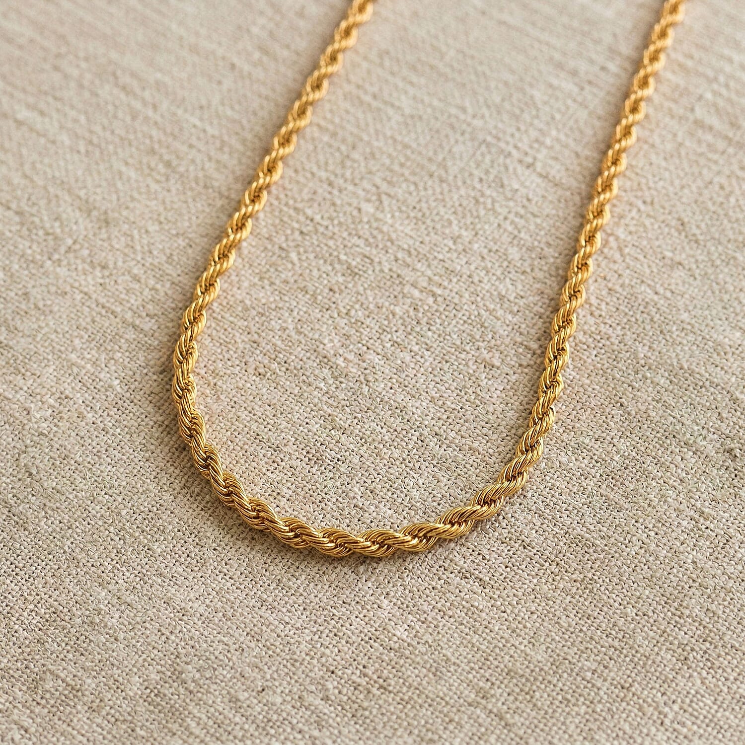 Imperial Rope Twist Necklace (20-22 Inches) in ION Plated YG Stainless Steel