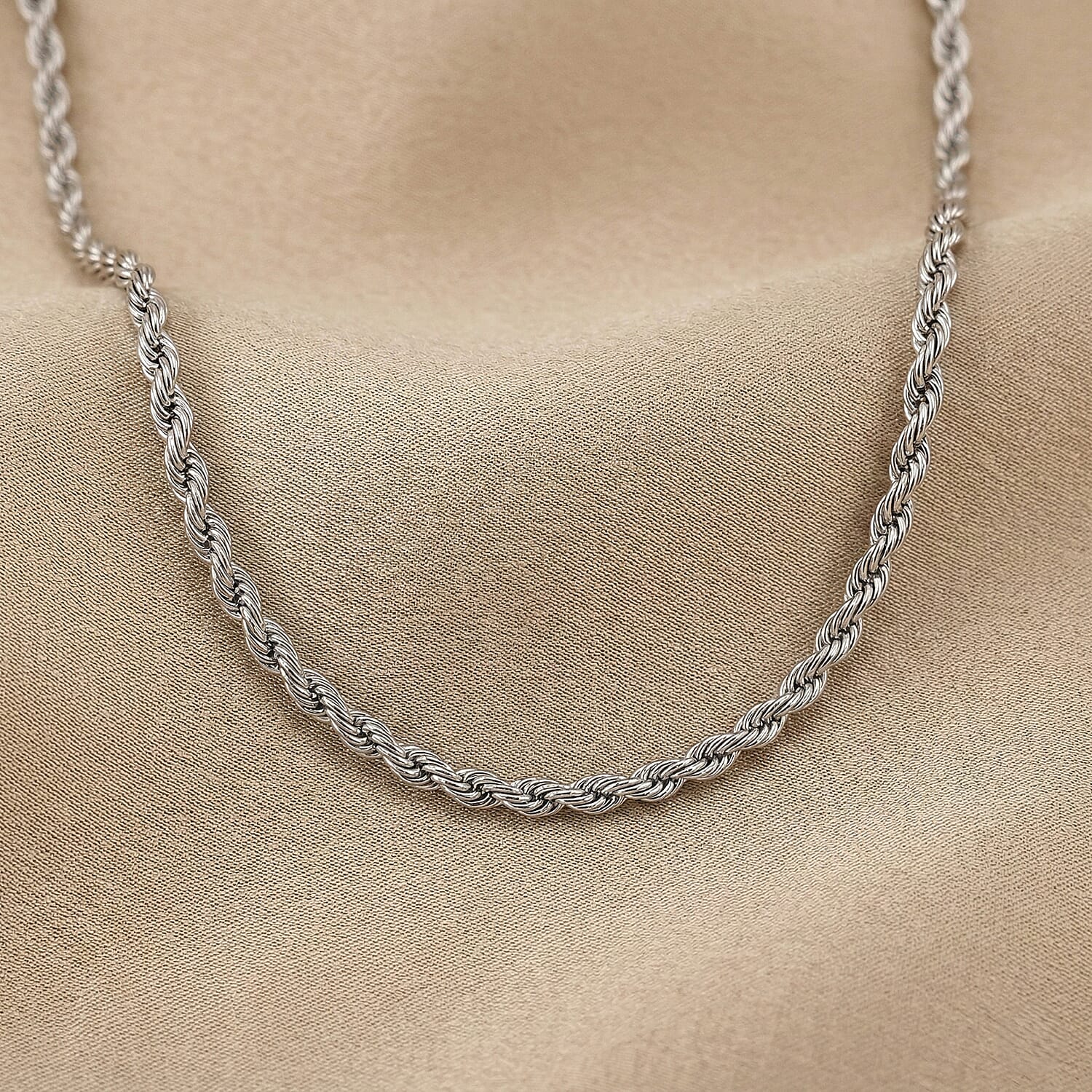 Imperial Rope Twist Necklace (20-22 Inches) in Stainless Steel