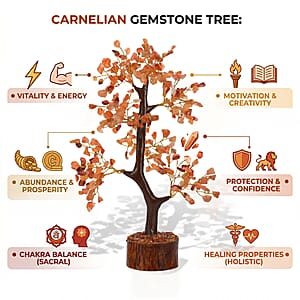 Ankur Treasure Chest Livmore Red Carnelian Gemstone Tree (9 Inch)